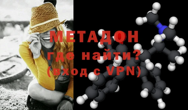 индика Няндома