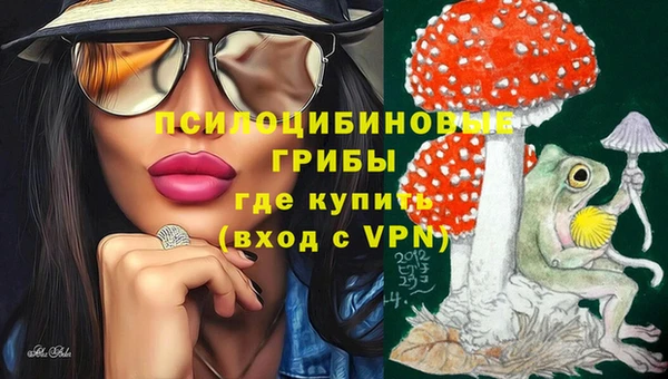 индика Няндома