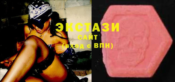 индика Няндома