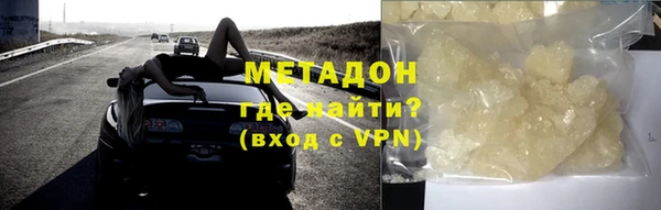 индика Няндома