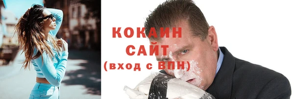 индика Няндома