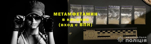 индика Няндома