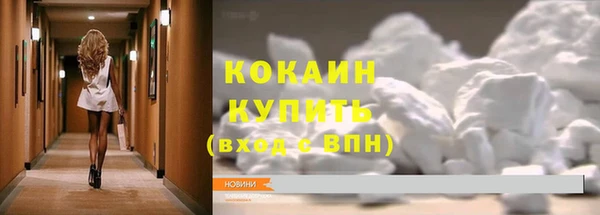 прущие грибы Нягань