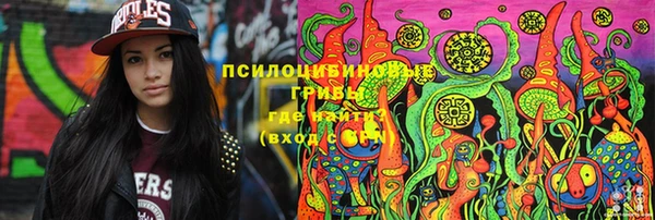 индика Няндома