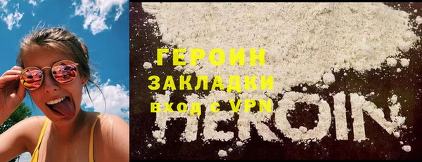индика Няндома