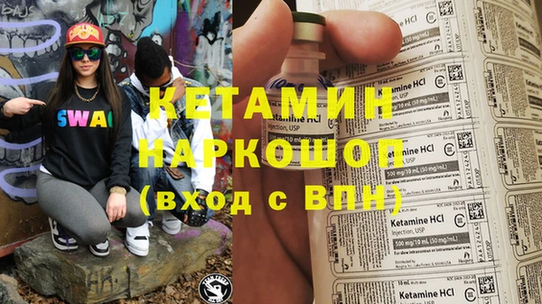 индика Няндома