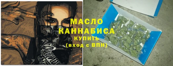 индика Няндома