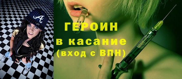 индика Няндома