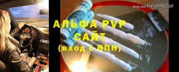 гидра Новодвинск