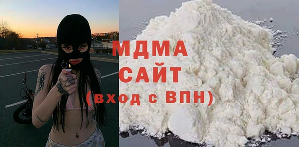 индика Няндома
