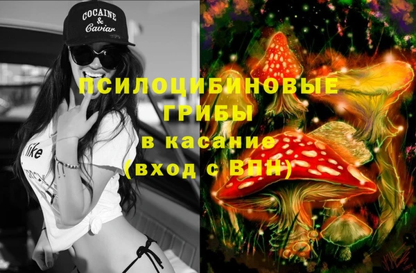 прущие грибы Нягань