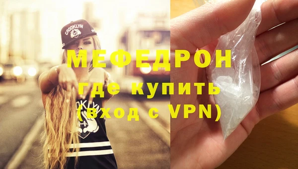 индика Няндома