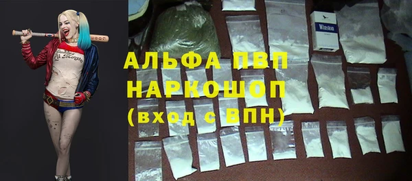 индика Няндома