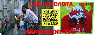 прущие грибы Беслан