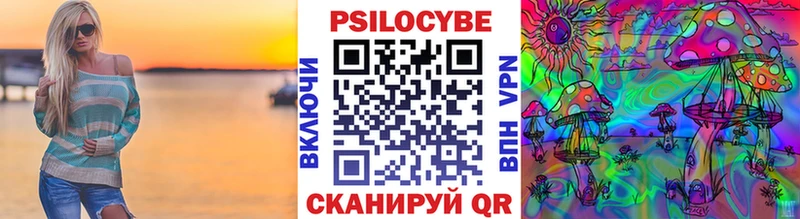 где можно купить   shop клад  Псилоцибиновые грибы MAGIC MUSHROOMS  Старая Купавна 