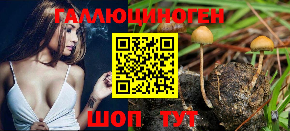 купить наркоту  Вход с VPN  Старая Купавна  Псилоцибиновые грибы Psilocybe 