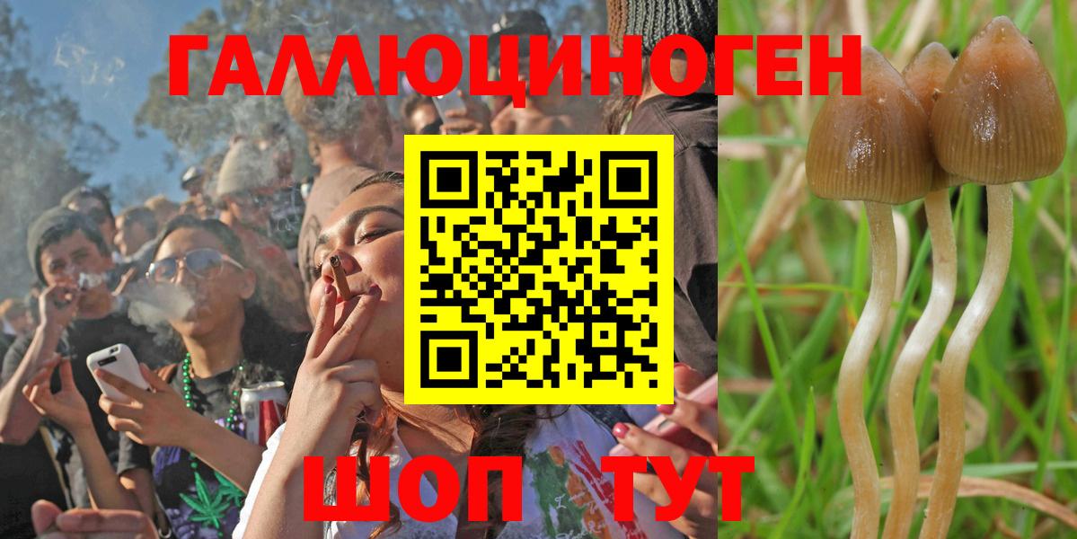 Псилоцибиновые грибы мухоморы Старая Купавна