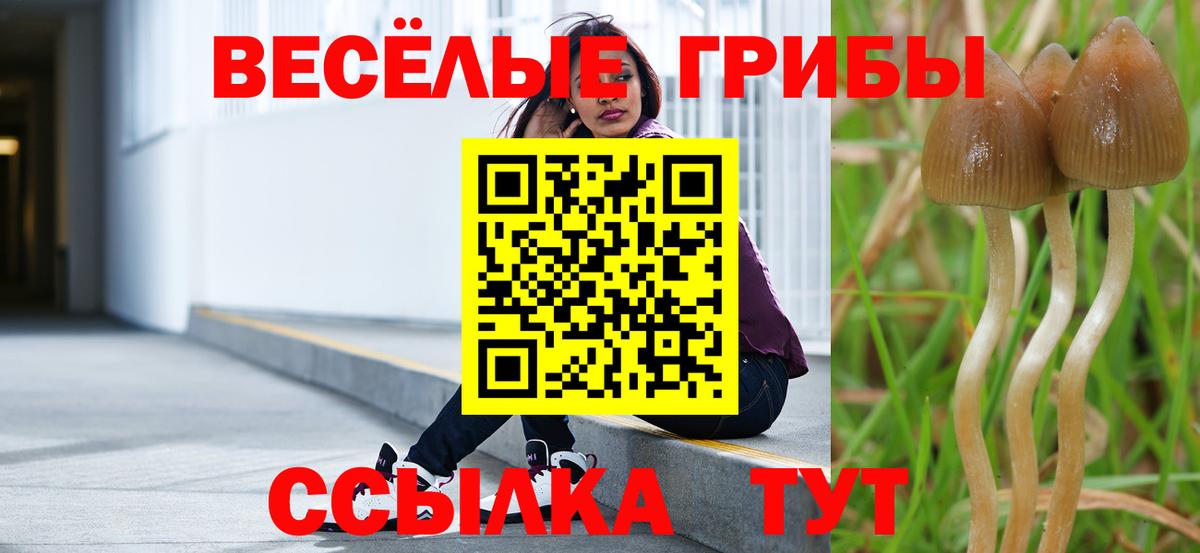 Псилоцибиновые грибы мицелий Старая Купавна