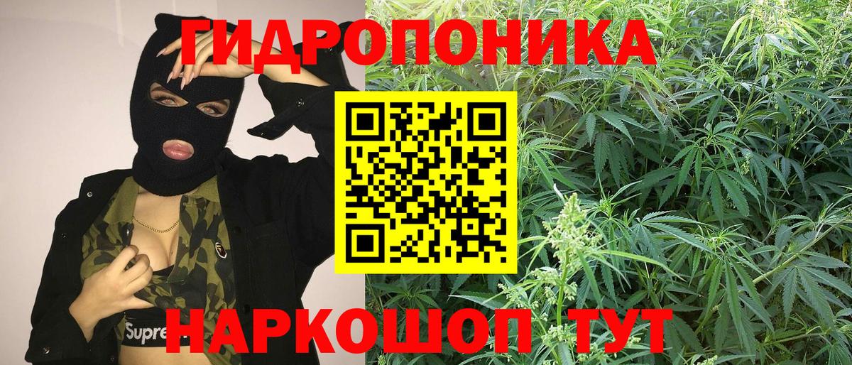 Каннабис сатива  Конопля гибрид  Канабис Ganja  Вход с VPN  Старая Купавна  Бошки марихуана LSD WEED 